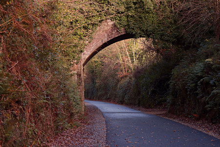 A stone bridge in the woods leading to a valley in autumn.