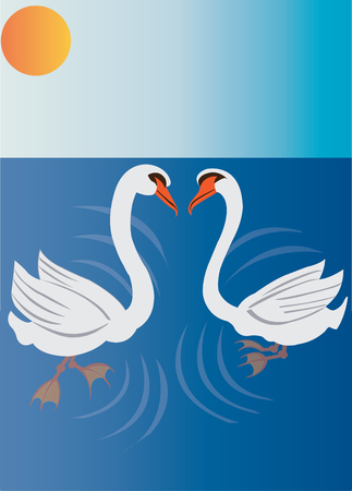 Swans swimming on a shallow pondのイラスト素材