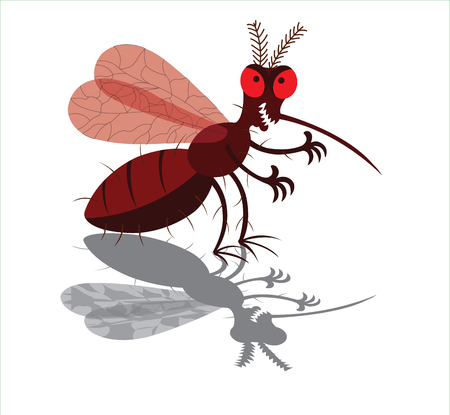 a mosquito drunk full of blood,のイラスト素材