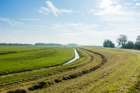 Reclaimed land next to the Spaarndammerdijk, the oldest dyke in the Netherlands and a national monumentの写真素材