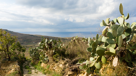 View over the beautiful countryside of rural Gozo