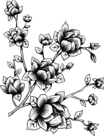 Flower with Branch & Leaf Hand Drawn Sketch Isolatedのイラスト素材