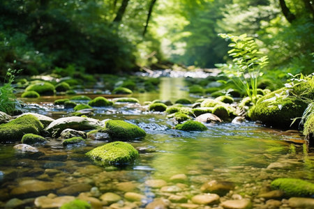 A Minimalist Nature Landscapes with Environmental Messagesの素材