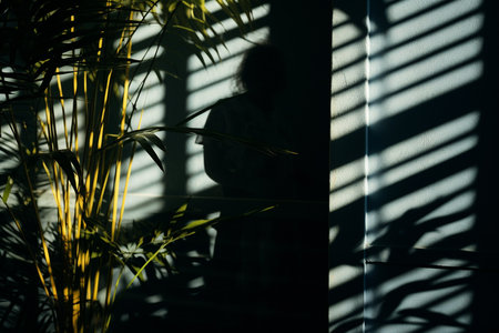 a Chiaroscuro Unveiled: The Dance of Shadows and Lightの素材