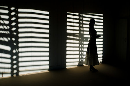 a Chiaroscuro Unveiled: The Dance of Shadows and Lightの素材