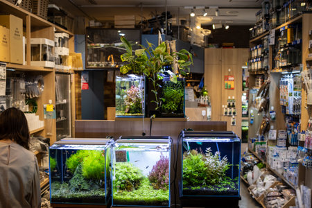 Tokyo, Japan, October 28, 2023: Aquarium Shop Display with Exotic Fish and Plantsのeditorial素材