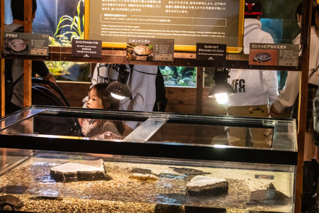 Tokyo, Japan, October 31, 2023: Children Observing Fish Tank at Tokyo Sea Life Parkのeditorial素材