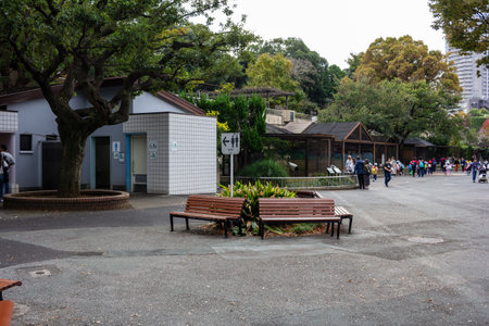 Tokyo, Japan, October 31, 2023: Rest area in Ueno Park with visitors in the backgroundのeditorial素材