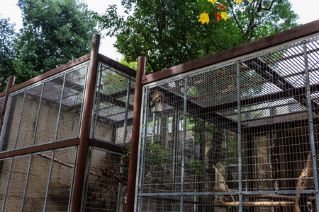 Tokyo, Japan, October 31, 2023: Enclosed construction site with safety nets near a parkのeditorial素材