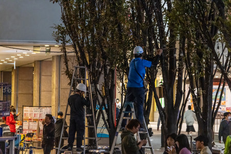Tokyo, Japan, October 31, 2023: Workers pruning trees on urban street with ladderのeditorial素材
