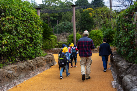 Tokyo, Japan, October 31, 2023: Family walking on a path in Ueno Parkのeditorial素材
