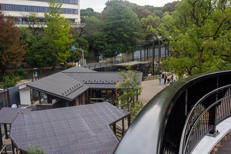 Tokyo, Japan, October 31, 2023: Traditional Japanese architecture in a serene park settingのeditorial素材