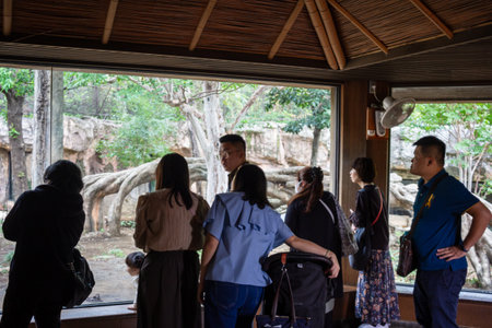 Tokyo, Japan, October 31, 2023: Visitors inside Ueno Zoo watching elephantsのeditorial素材