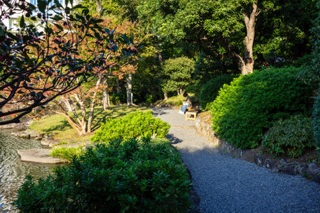 Tokyo, Japan, November 1, 2023: Tranquil pathway in a traditional Japanese gardenのeditorial素材