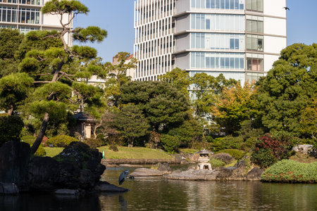 Tokyo, Japan, November 1, 2023: Scenic View of a Japanese Garden with Modern Buildingsのeditorial素材