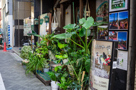 Tokyo, Japan, 1 November 2023: Street view with lush greenery and local business advertisementのeditorial素材
