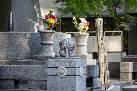 Tokyo, Japan, November 1, 2023: Cat resting on a traditional Japanese grave in a cemeteryのeditorial素材
