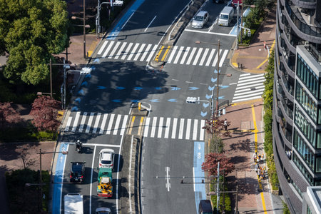 Tokyo, Japan, November 2, 2023: Aerial View of Busy Intersection with Pedestrians and Cyclistsのeditorial素材