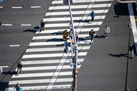 Tokyo, Japan, November 2, 2023: High Angle View of Pedestrians Crossing Streetのeditorial素材