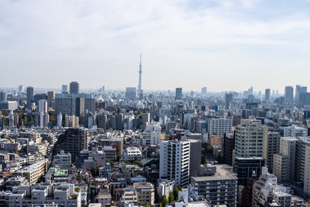 Tokyo, Japan, November 2, 2023: Aerial view of Tokyo skyline with Tokyo Skytreeのeditorial素材