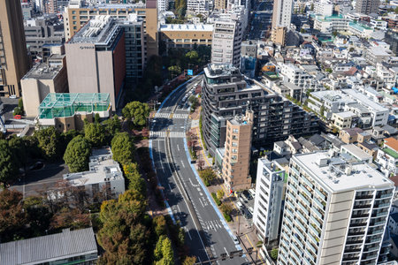 Tokyo, Japan, November 2, 2023: Aerial view of Tokyo intersection and urban landscapeのeditorial素材