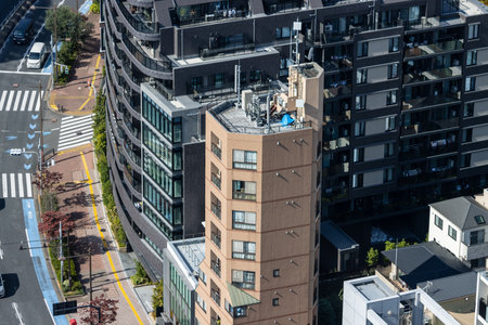 Tokyo, Japan, November 2, 2023: High Angle View of Tokyo Architecture and Streetsのeditorial素材