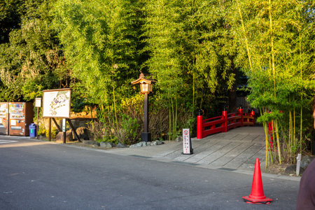Tokyo, Japan, November 3, 2023: Traditional entrance of a Japanese shrine with bamboo treesのeditorial素材