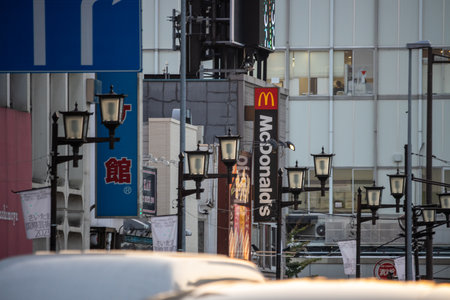 Tokyo, Japan, November 3, 2023: Urban Scene with Brand Signages Including McDonald's and Japanese Charactersのeditorial素材
