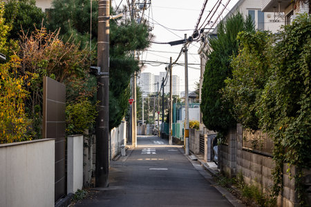 Tokyo, Japan, November 3, 2023: Quiet Residential Street with Lush Greeneryのeditorial素材