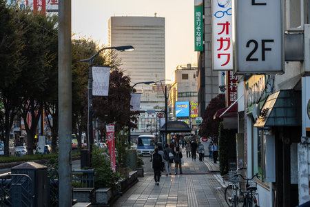 Tokyo, Japan, November 3, 2023: Street View with People and Advertising Signs