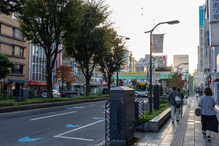 Tokyo, Japan, November 3, 2023: Pedestrians Walking Alongside City Street with View of Train and Shopsのeditorial素材