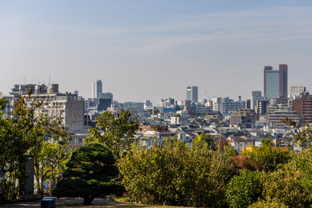 Tokyo, Japan, November 4, 2023: Expansive View of Tokyo Cityscape from an Elevated Vantage Pointのeditorial素材