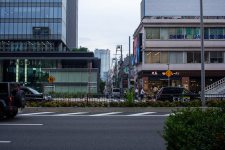 Tokyo,Japan, November 4 2023: Urban Street Scene with Modern Buildings and Businesses