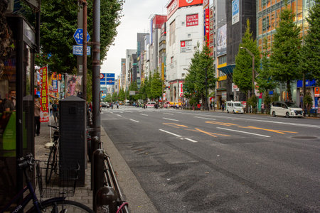 Tokyo, Japan, November 7, 2024: Urban Street Scene with Commercial Billboards and Pedestriansのeditorial素材