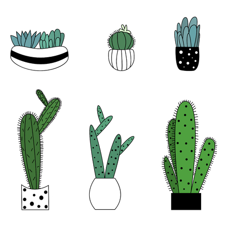 Set of cute cartoon style colorful cactus and succulents on white background vector illustrationのイラスト素材
