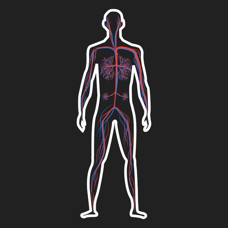Abstract blood circulation system of human on dark background vector illustrationのイラスト素材