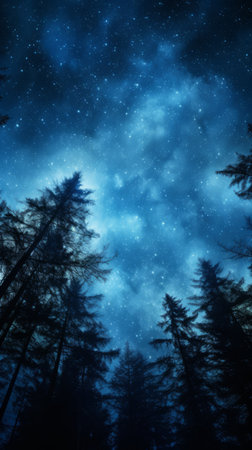 Night landscape with trees and bright starry skyの素材