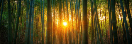 Experience the beauty of a bamboo forest at dawn, with slender stalks stretching skyward, soft sunlight illuminating the serene landscape and fallen leaves blanketing the forest floorの素材