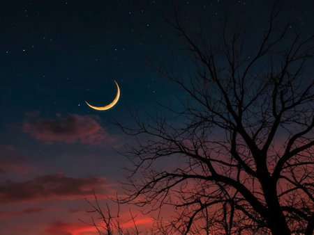 The moon in the night sky with stars and silhouette of a tree