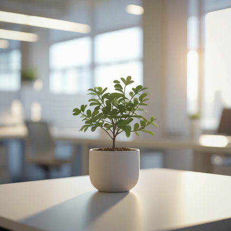 Small plant in a white pot on a table in a modern officeの写真素材