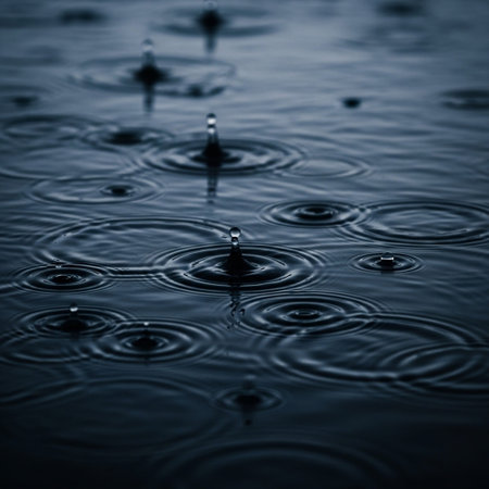 Drops of rain on the surface of the water. Shallow depth of field