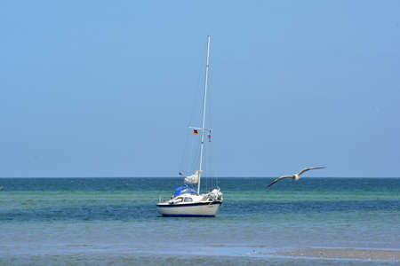 Sailing ship, seagull and blue sea at DarÃer Ort, Fischland-DarÃ-Zingst, Mecklenburg-Western Pomeraniaの写真素材