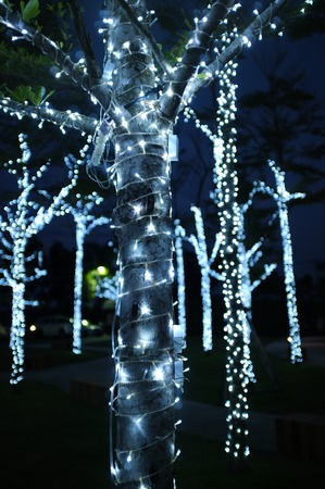 Trees decorated with garland light during greeting seasonの写真素材