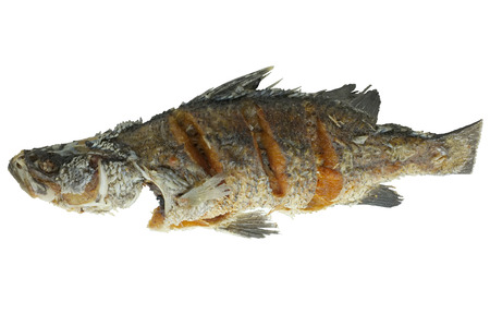 One deep fried fish isolated on white backgroundの写真素材