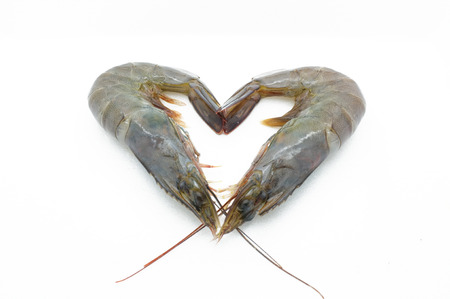 Raw / fresh shrimp / prawn / seafood / shellfishの写真素材