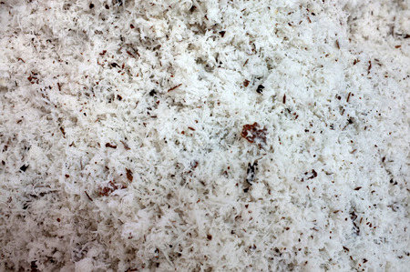 Dried grated coconutの写真素材