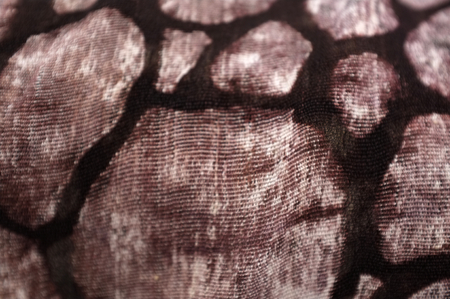 Thai natural dye , Close up black dye from  Thai EBONY herb for Dewormed , Concept  graphic...