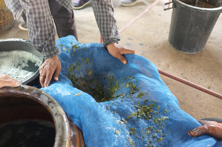 The process of indigo. Remove Indigo tree from the water. To use  Indigo cakeの写真素材