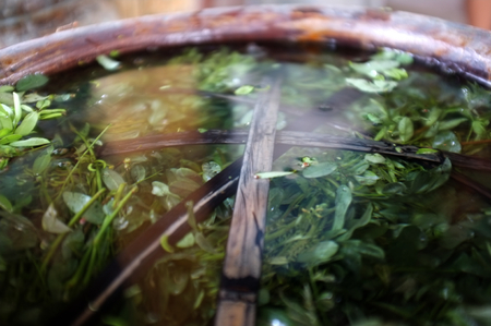 Soaking Indigo leaves and tree for The process of Indigo cake in water.の写真素材