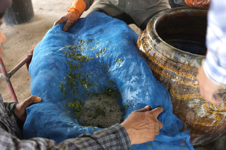 The process of indigo. Remove Indigo tree from the water. To use  Indigo cakeの写真素材